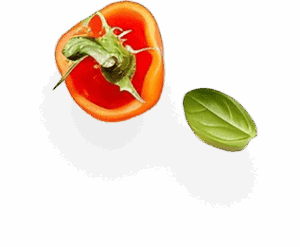 Fresh ingredients